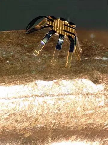 全球最小的遙控行走機器人誕生，用激光實現(xiàn)精準運動控制